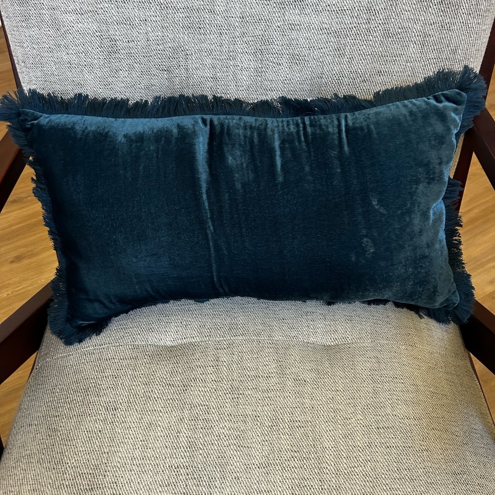 West Elm Teal Velvet Fringe Pillow
